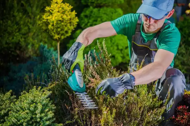 landscaping services Myers Corner